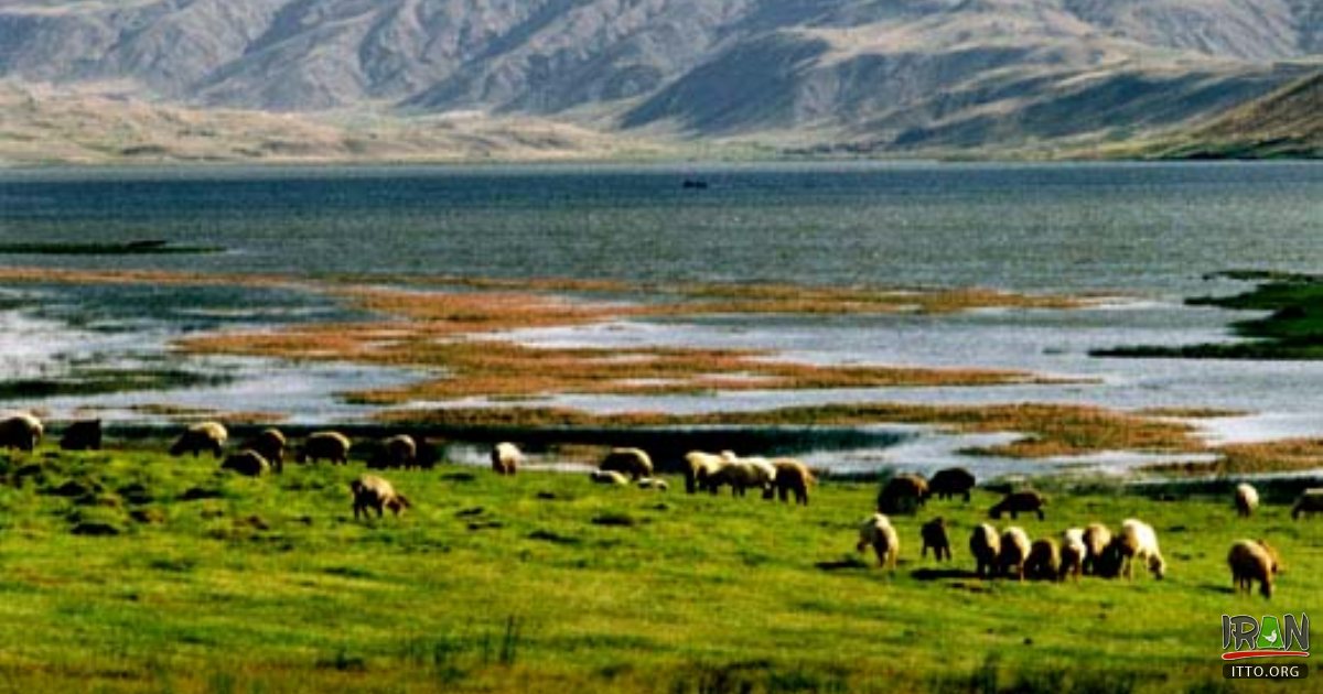 Gandoman Wetland 2019 Tourist Attraction in Lordegan, Iran Tourism and ...