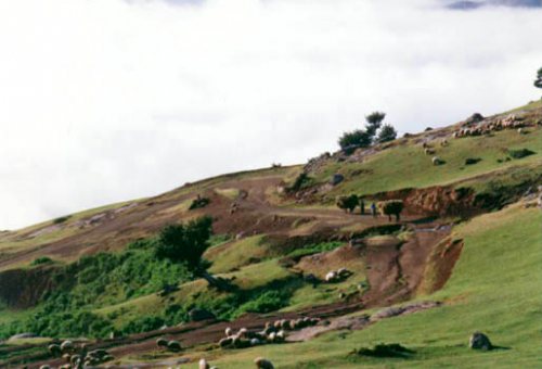 Govkoshan Mountain in Gorgan