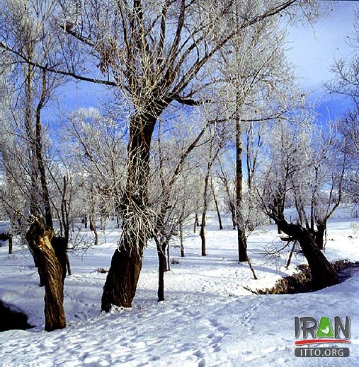طبیعت استان زنجان,zanjan forest,zanjan nature