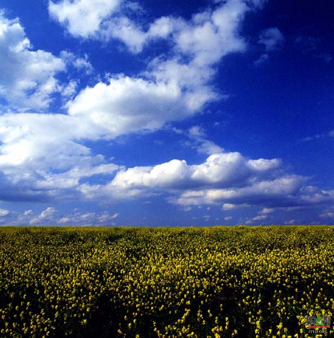 Mugan plain Photo Gallery - Iran Travel and Tourism