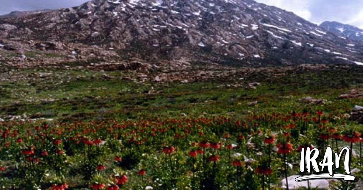 Dena Mountain, Hafshejan 2023 Shahre Kord, Chahar Mahal va