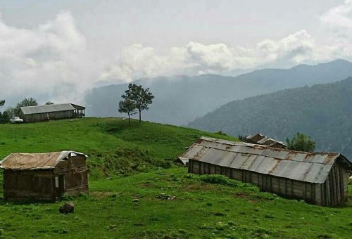 Talesh Forests in Ardebil