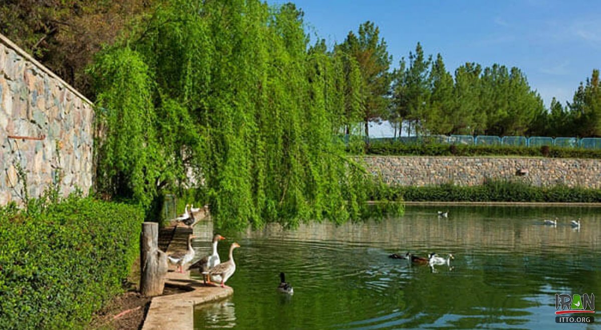 Baaghrud Park - Nishapur