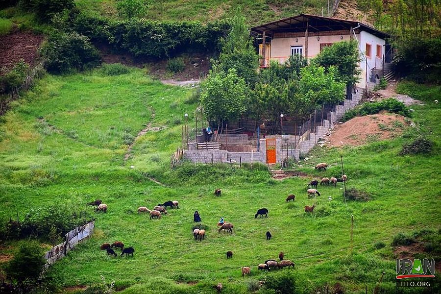 Ziarat Village,Zeiarat Village,روستای زیارت,gorgan,گرگان