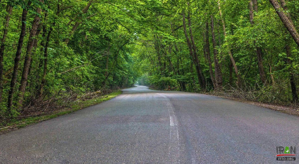 Noor Forest Park - Mazandaran Province