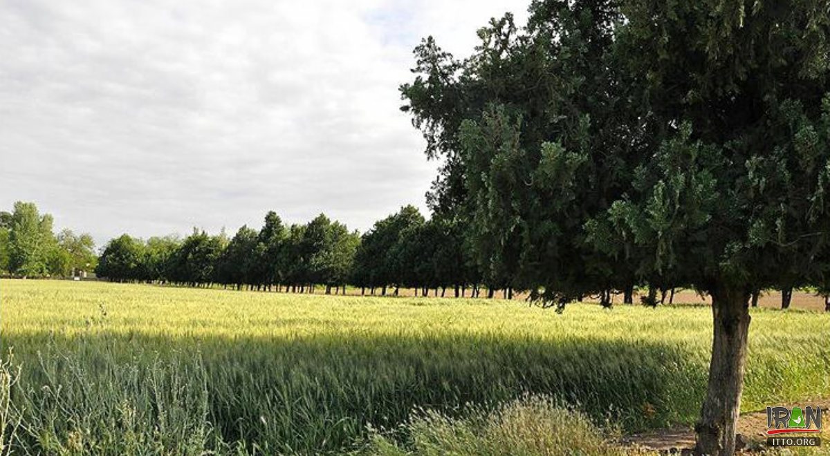 Parsabad (Pars Abad)