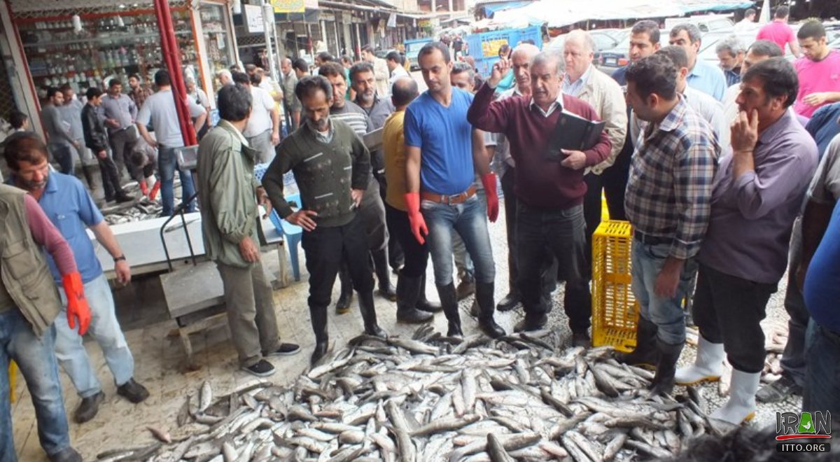 Mahmoudabad Bazaar - Mazandaran