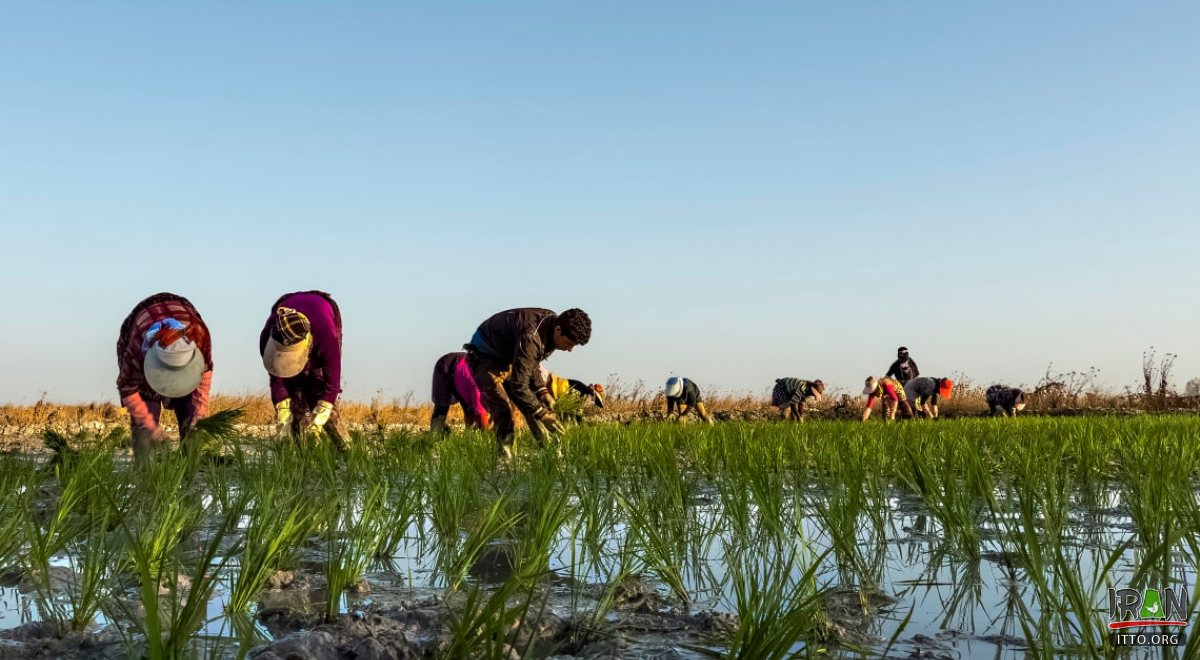 Bandar-e Gaz (Bandar Gaz)