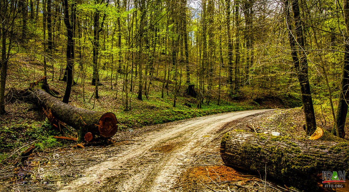 Bandar-e Gaz (Bandar Gaz)