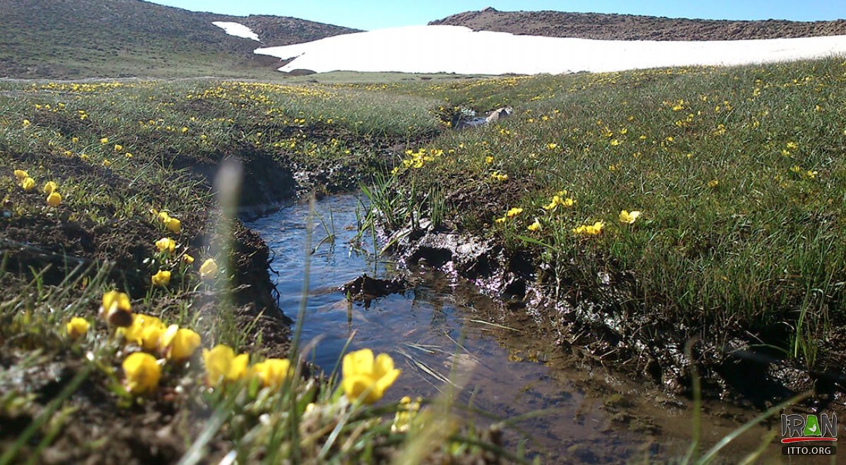 Sepidan - Fars Province