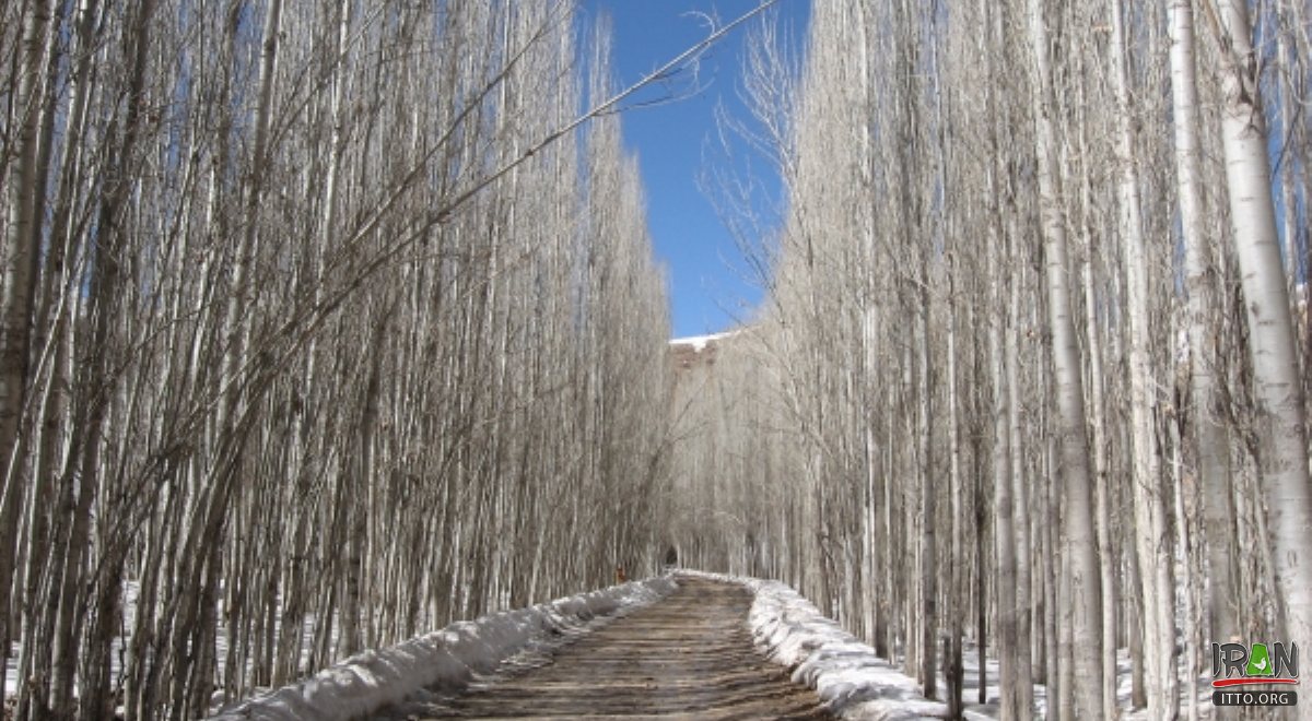 Sepidan - Fars Province