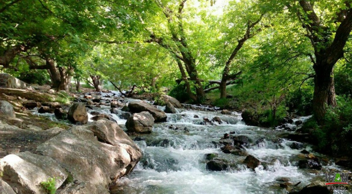 Saraab-e Gian - Nahavand