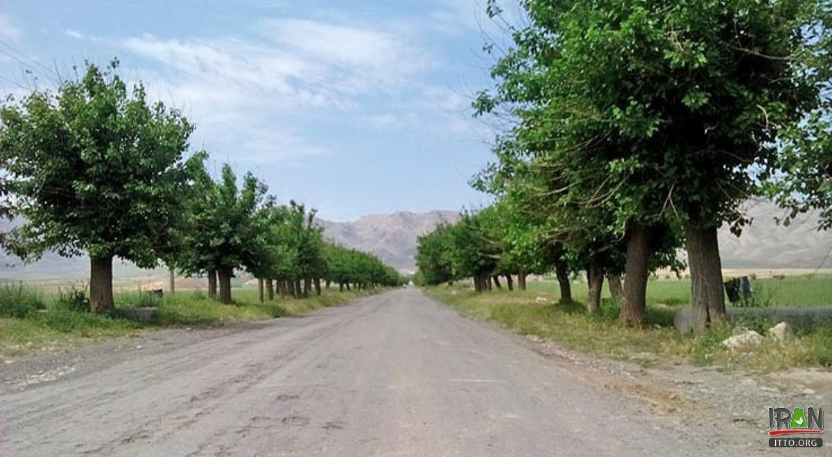 Bazangan Village - Sarakhs