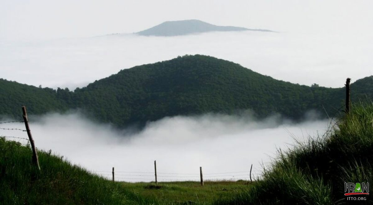 Abr Forest - Shahrud