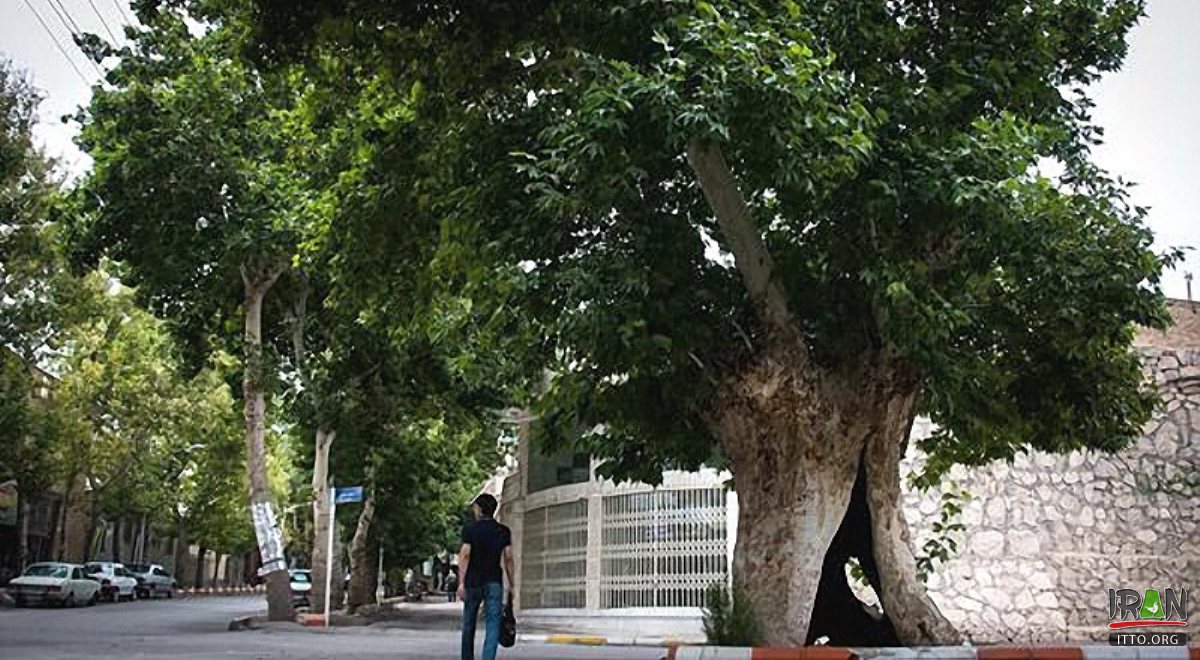 Shahrud - Semnan Province