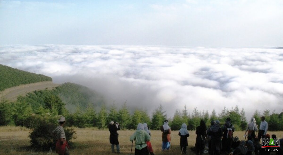 Abr Forest - Shahrud - Semnan Province