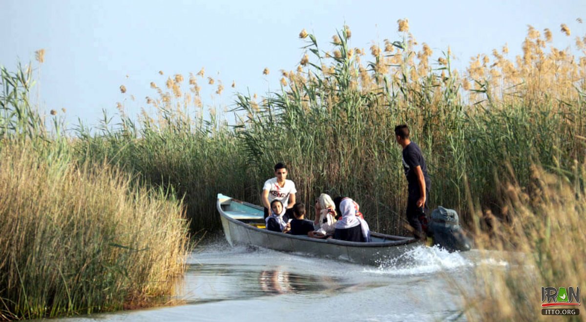 Shadegan Ponds