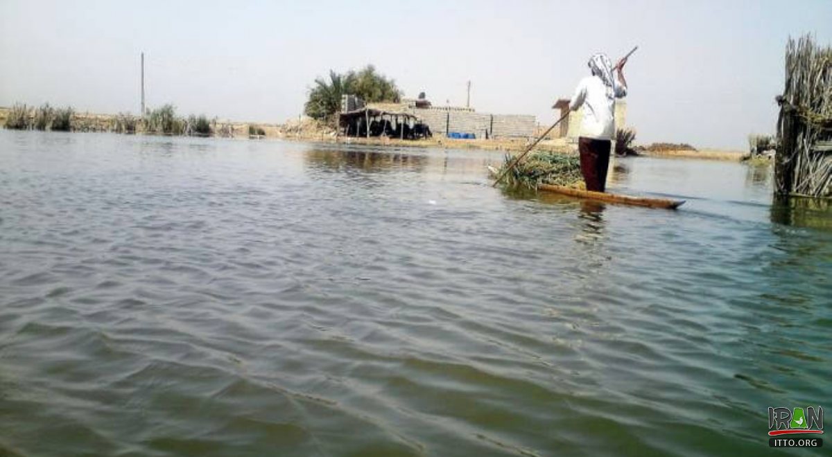 Shadegan Ponds