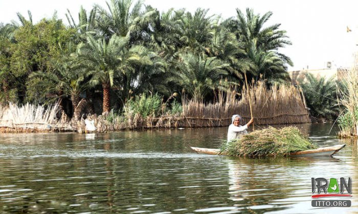 Shadegan Ponds