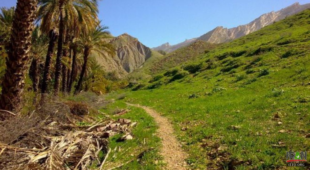 Tang Tarman - Lamerd