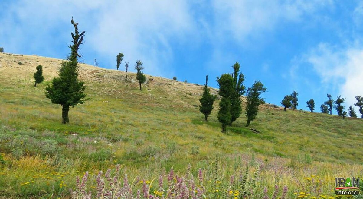 Mountains of Ghaleh-Ghafeh Village - Minoodasht