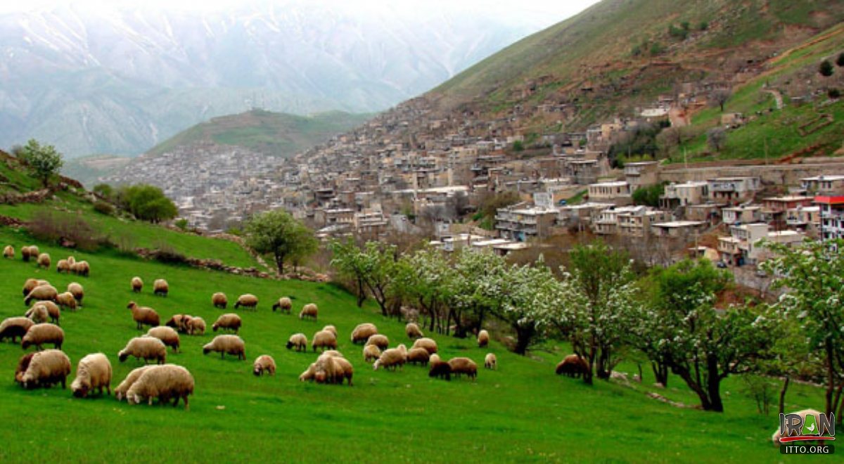 Paveh - Hezar Masooleh