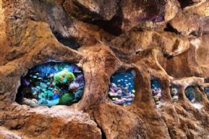 Aquarium Cave - Hamedan