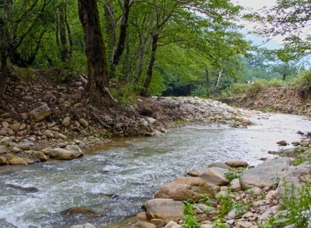 Dahaneh River Near Gonbad Kavoos