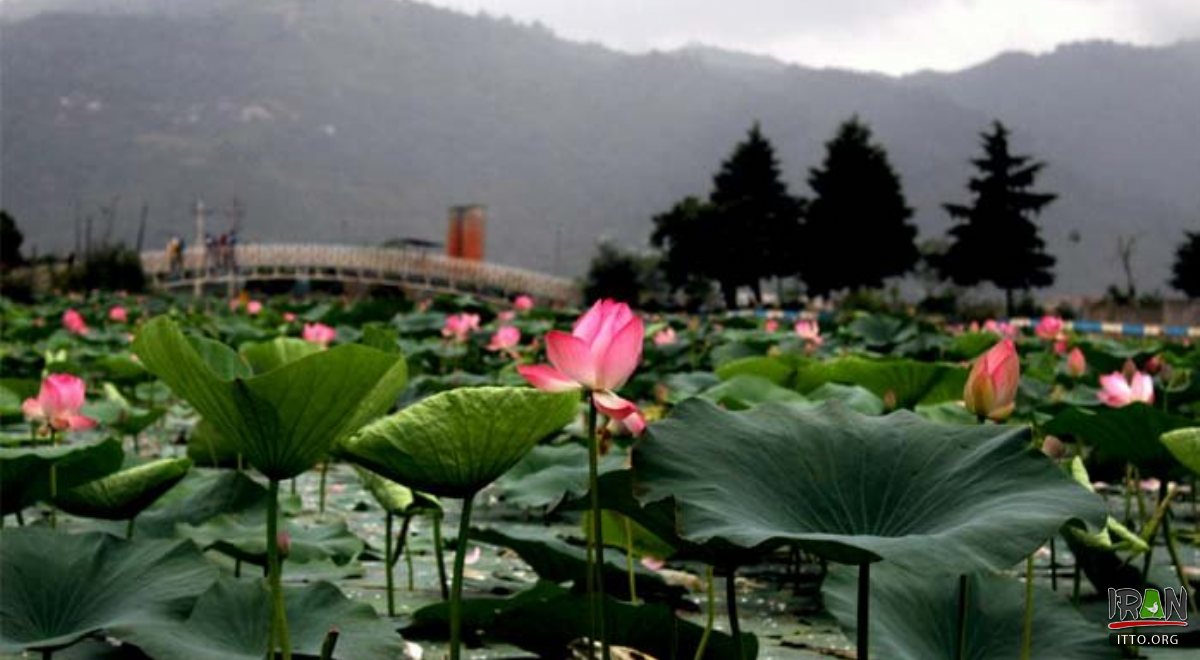 Langarud - Gilan Province