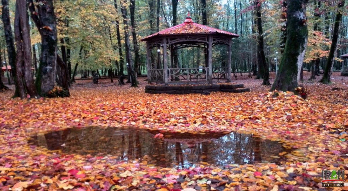 Gissoom Jungle - Talesh