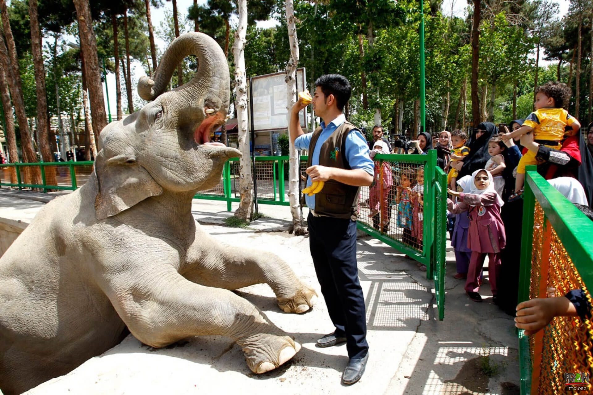 Tehran Zoological Garden, Eram Zoo, Tehran Zoo,باغ وحش ارم,باغ وحش تهران