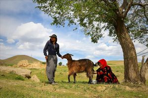 Nomads in Hamedan Province - Bahar