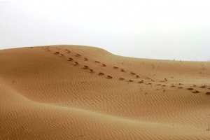 Om-ol Debes Desert - Dasht-e Azadegan (Bostan)