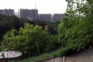 Lavizan Forest Park - Tehran
