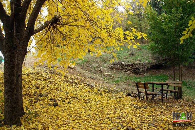 پارک جنگلی لویزان,جنگل لویزان,پارک لویزان تهران,tehran,teheran,Lavizaan Park, Lavizaan Forest Park,shian,شیان