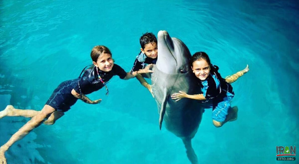 Kish Dolphin Park - Kish Island