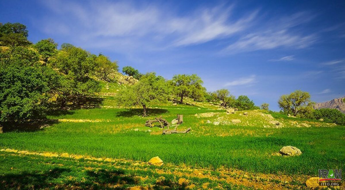 Gachsaran (Gachsaaraan, Dogonbadan)