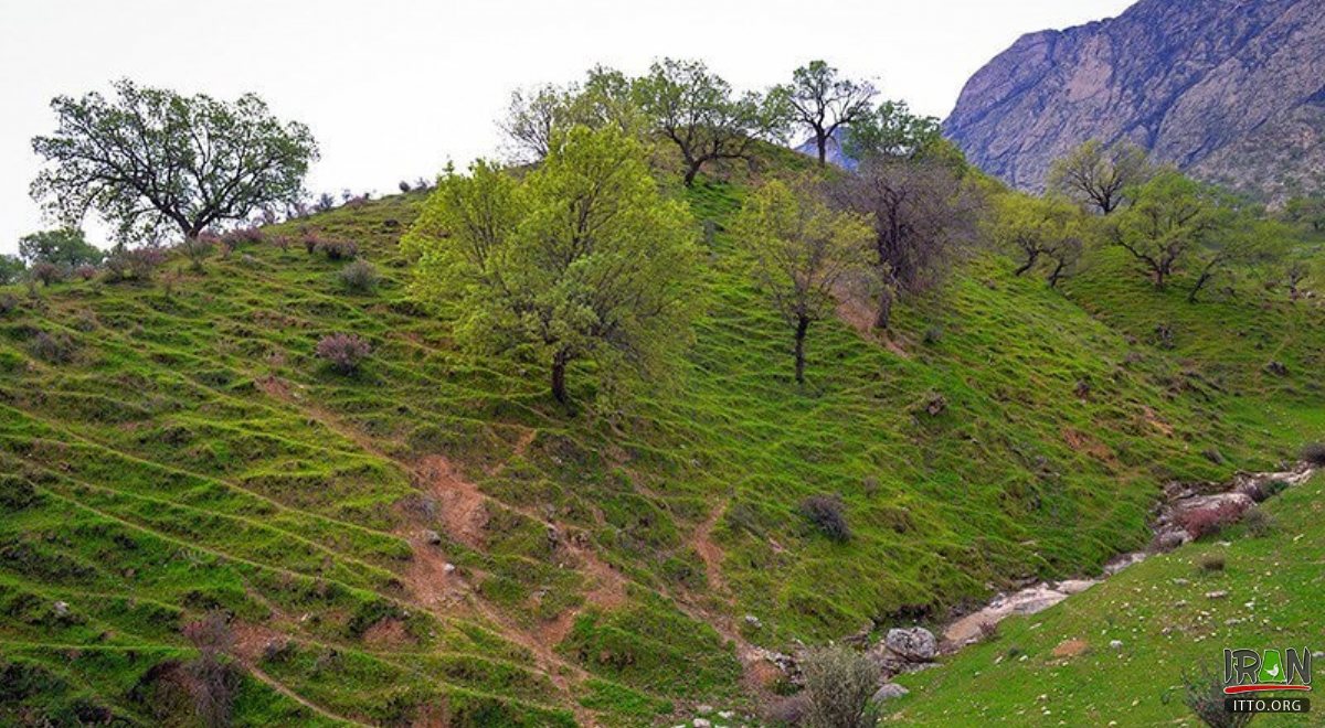 Gachsaran (Gachsaaraan, Dogonbadan)