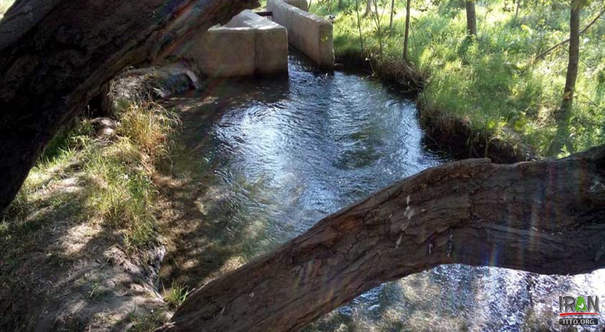 Cheshmeh Gilas - Chenaran