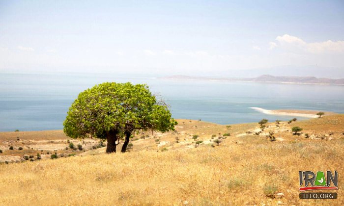 Kaboodan Island (Qoyundagi) - Urmia Lake