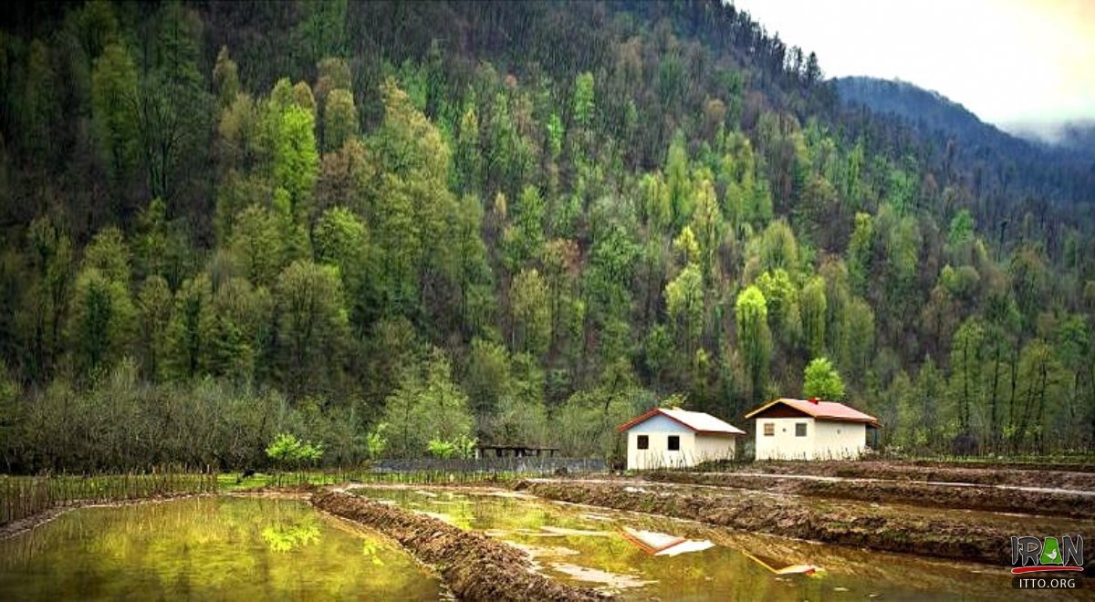 Kiashahr - Gilan Province