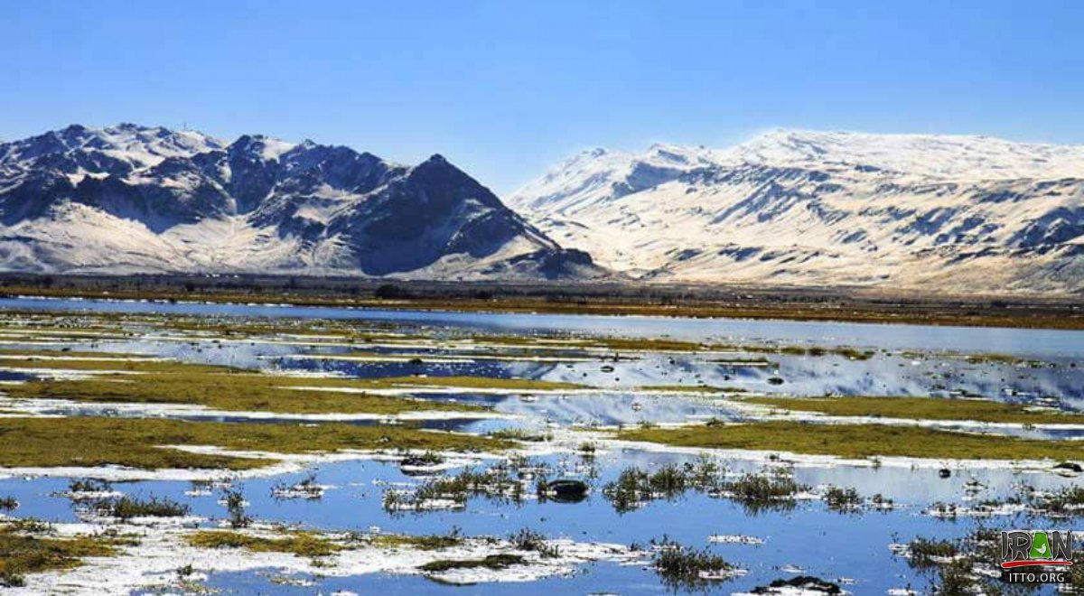 Talab Gandoman (Gandoman Wetland) - Borujen