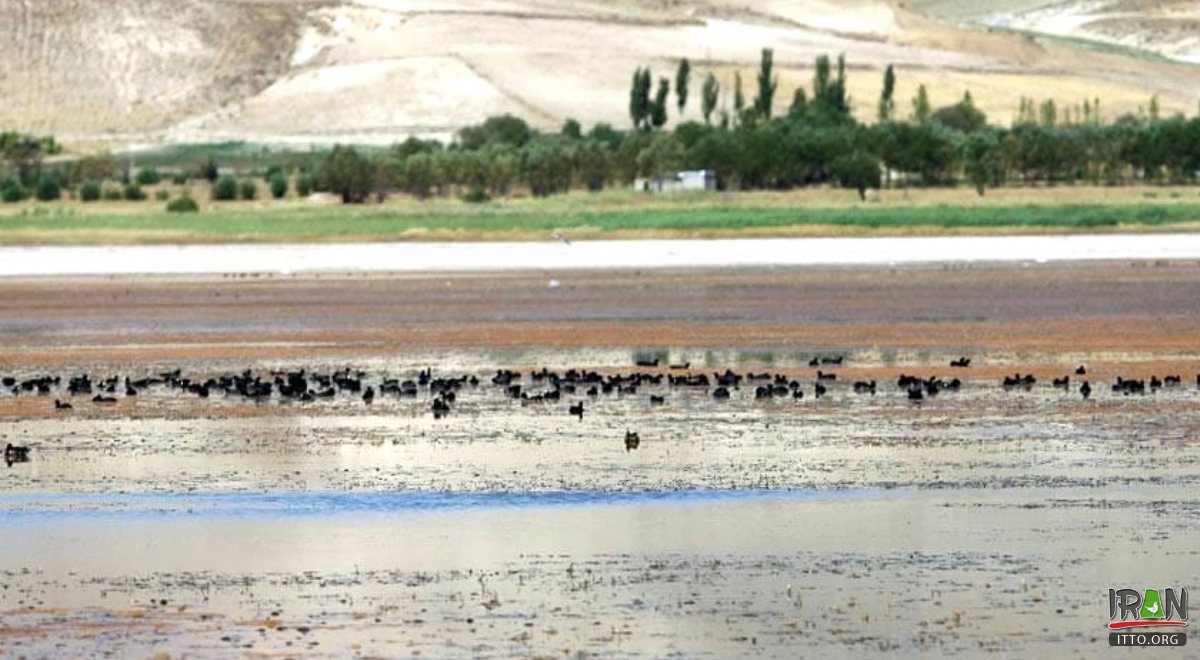 Bostanabad (Bostan Abaad)