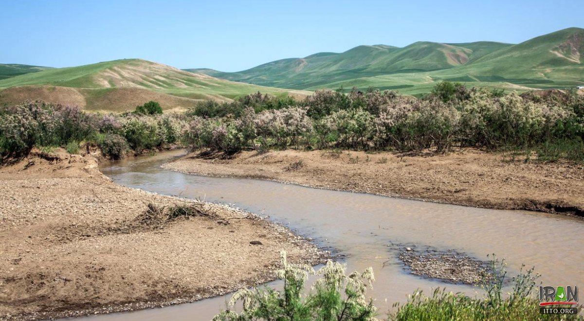 Balharood - Bileh Savaar