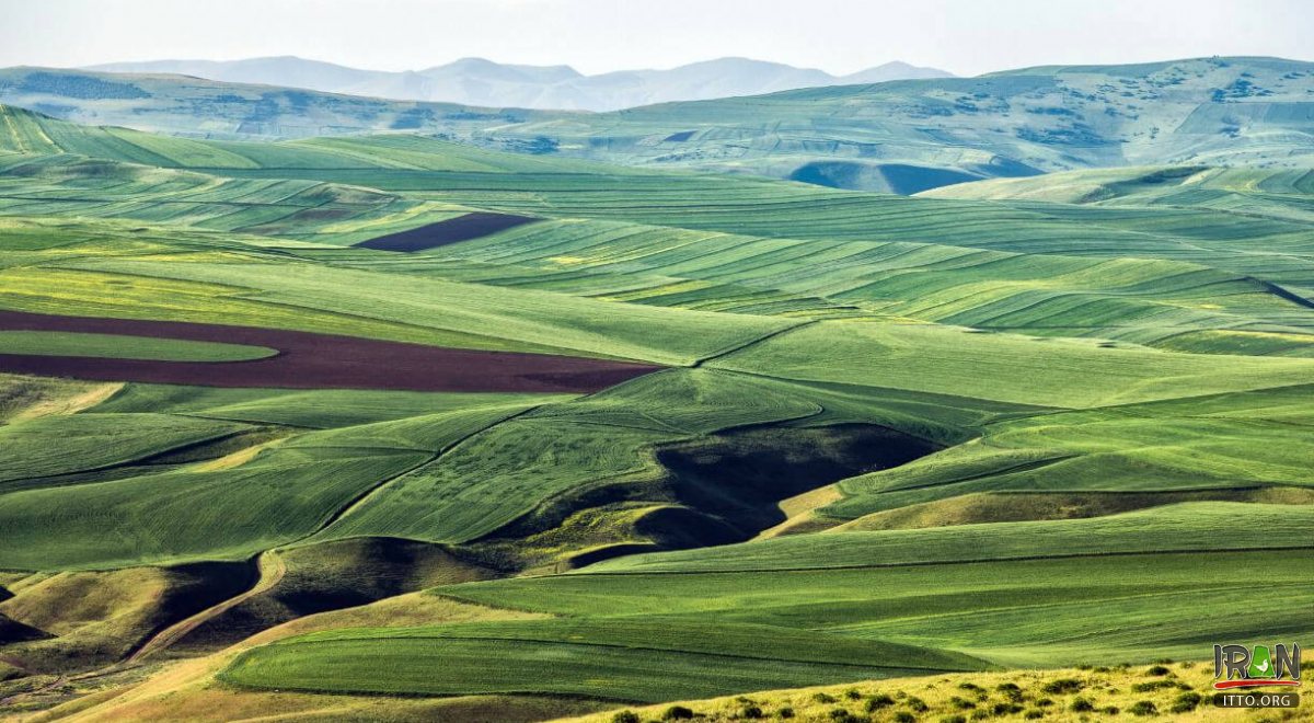 Khoroosloo - Bileh Savaar