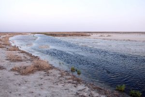 Gavkhouni Wetland