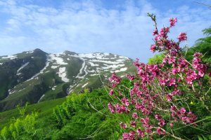 Chehel Cheshmeh Mountain - Kurdistan Province
