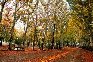 Autumn in Bojnord (Bojnurd)