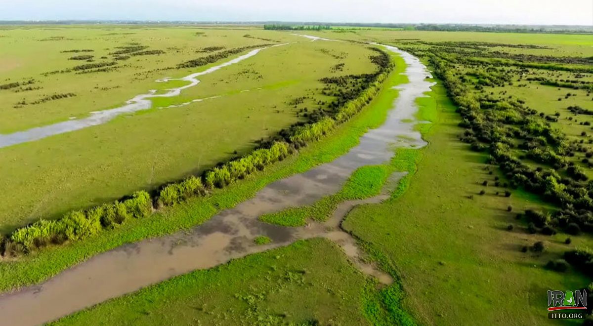 Boujagh National Park - Astaneh-ye Ashrafiyeh