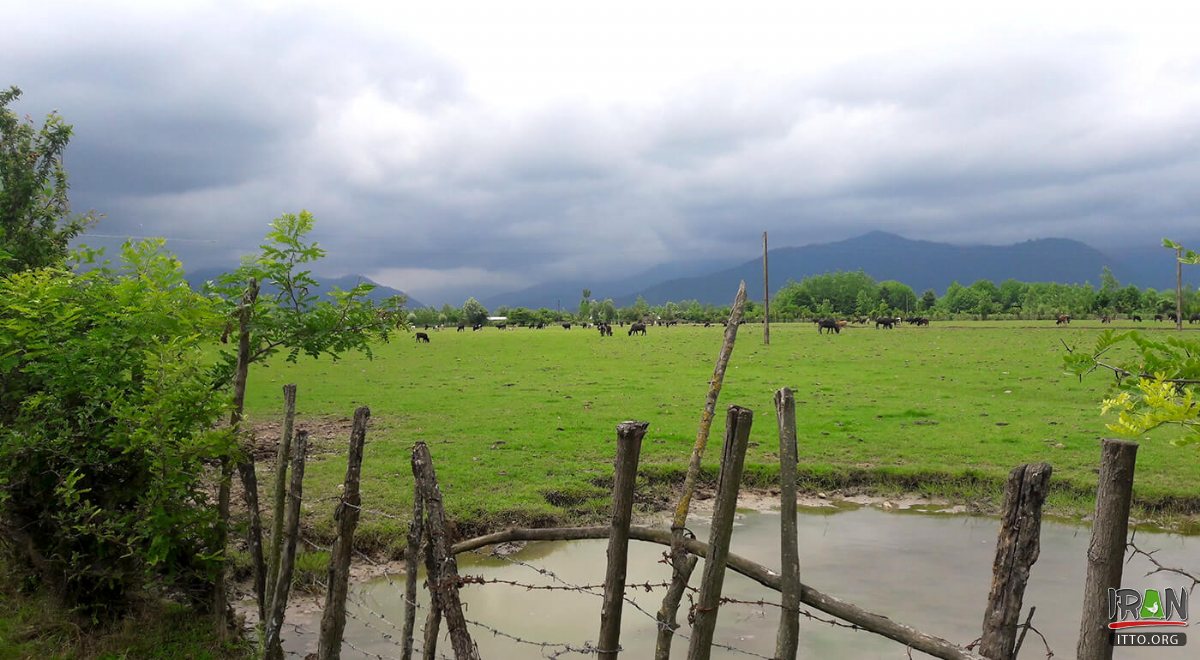 Someh Sara - Gilan Province